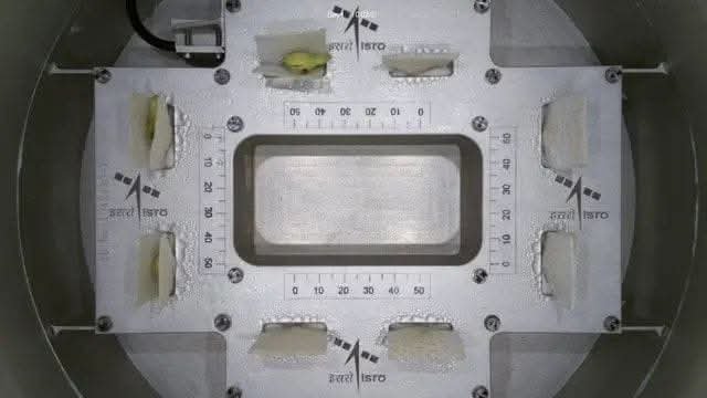 ISRO ने कर दिखाया कमाल; अंतरिक्ष में अंकुरित कराए बीज, पत्ते निकलने की भी उम्मीद post thumbnail image